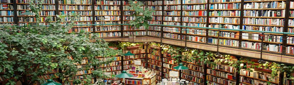 El Péndulo de Polanco  Bookstore cafe, Book cafe, Library aesthetic