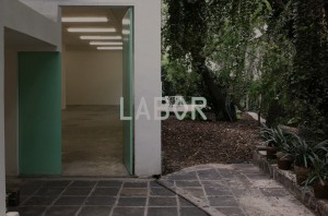 Labor